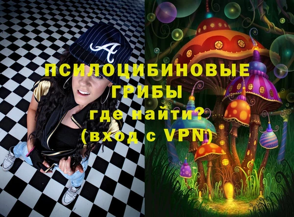 спайс Сатка