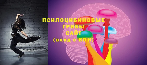герыч Няндома