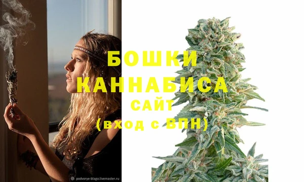 мяу мяу мука Осташков