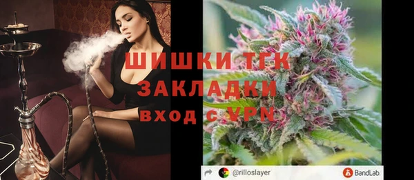 ГАЛЛЮЦИНОГЕННЫЕ ГРИБЫ Новодвинск